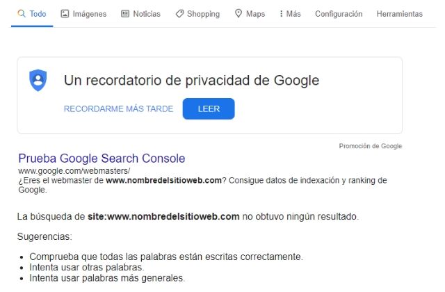 comprobar en Google Search si una página web está indexada