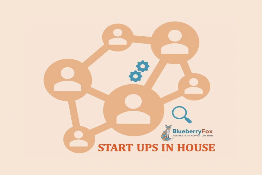 startups in house consultora Blueberry Fox