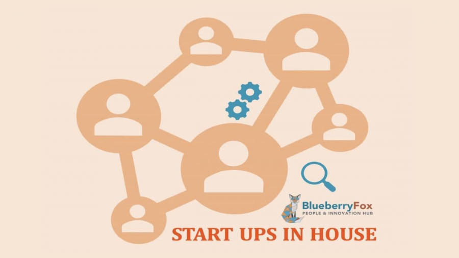 startups in house consultora Blueberry Fox