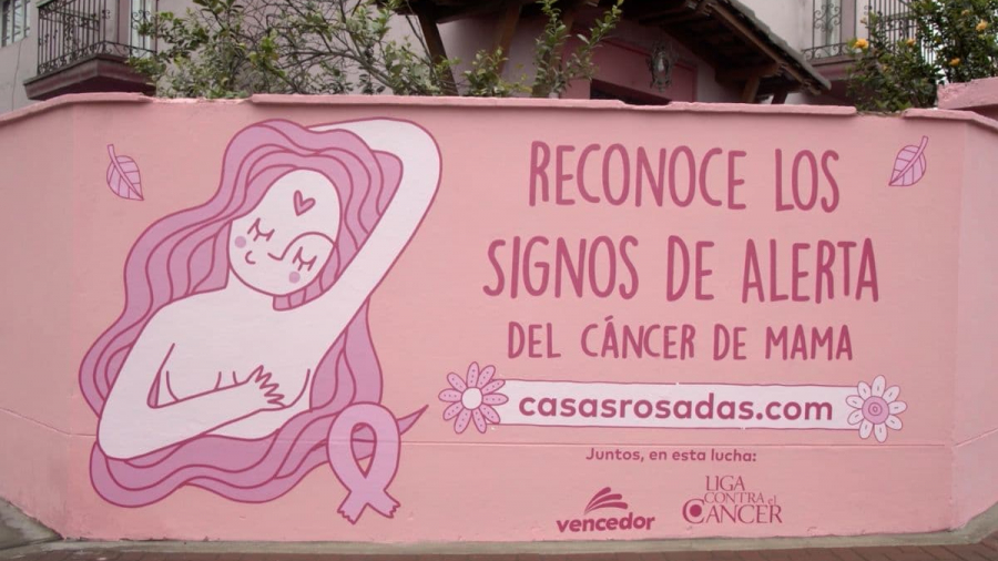 Campaña Casas Rosadas de McCann Lima y Pinturas Vendedor